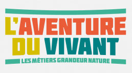 aventure